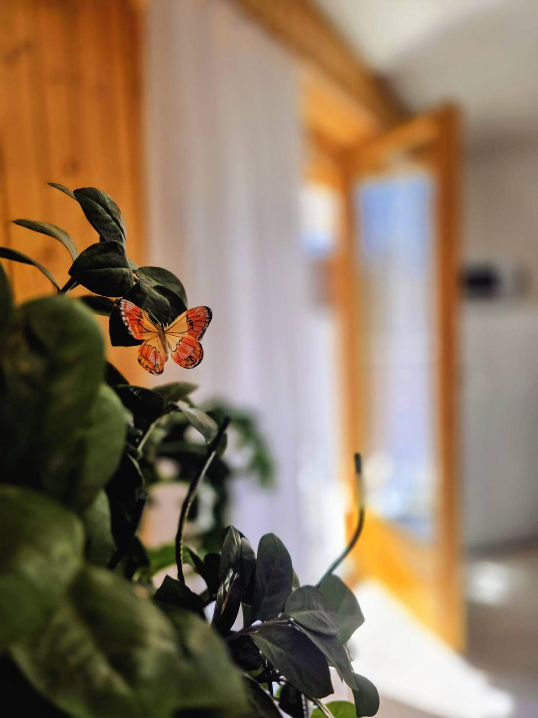 Pflanzendetail mit Schmetterling am Fenster